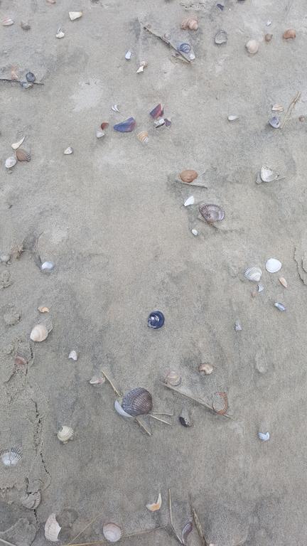 Pension Luettje Meermaid Borkum Bagian luar foto